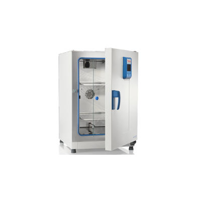 Horno de Convección Forzada Thermo Scientific 66 L